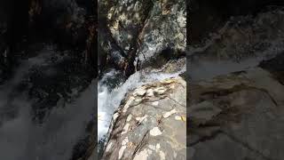 Hermosa cascada de rio pequeño | #shorts #senderismo