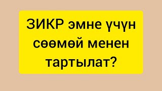 Зикир эмне үчүн сөөмөй менен тартылат?