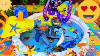 SEA ANIMALS FOR TODDLERS: ORANGE FROGFISH, HUMPBACK WHALE, PUFFERFISH, BLACKTIP SHARK, AND OTHERS