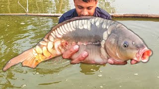 Unbelievable cast Net Fishing | Cast Net Fishing | Biggest Cast Net throw | Big Fish catching videos