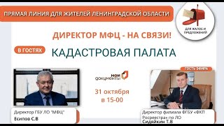 Директор МФЦ - на связи 31 октября. Кадастровая палата