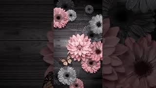 Pink floral black wood E