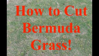 How to Cut Bermuda Grass