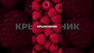 ФРУКТЫ И ЯГОДЫ ДЛЯ ЭНЕРГИИ