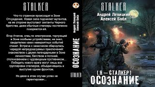 STALKER. Осознание. Аудиокнига. Фантастика.