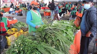 Creando ferias agroecológicas (resumen)