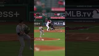 The best sound #shorts #viral #baseball #baseballplayer #baseballgame