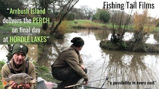 Ambush Island produces the PERCH at Hordle Lakes #perchfishing #korumblobs #lobworms #perch