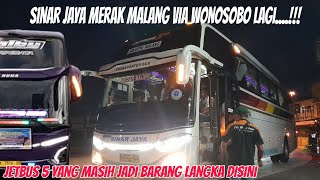 Sinar Jaya 4J Diganti 34 DD, Sudah Waktunya Peremajaan⁉️ Bus Pariwisata Jetbus 5 Yang Masih Langka‼️