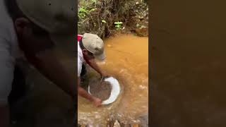 Panning for Gold in Costa Rica #shorts