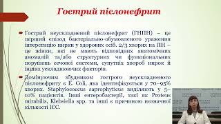 Захворювання сечовидільної системи в практиці сімейного лікаря