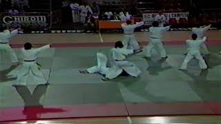 Stage Nanbudo Cesena 1987