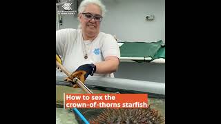 Crown-of-thorns Starfish: determining their gender and age