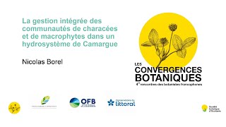 Convergences botaniques 2023 - 14. Gestion de communauté de characées en Camargue (Nicolas Borel)