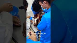 6 months old Beagle pup taking Antibiotic @Auropet|#Shorts