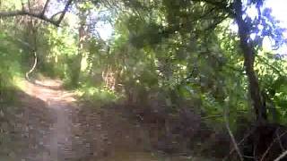 Bethpage State Park - Massapequa Preserve Bike Path II