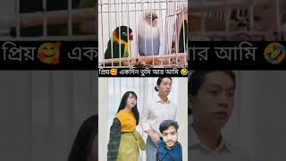 #happyparrot #pets #yt #ytshorts #parrot #birds #duet #respect #food #chinesechinese