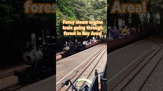 Fancy steam engine train going through forest in Bay Area ! #steamengines #train #vlog  #california