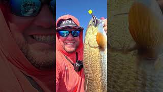 #trending #reddrum #capcut #shorts #viralvideo #fishing #fish #foryou #fyp #redfish #funny #hawktuah