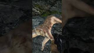 Maldade Contra Gato em Far Cry 4! #farcry4 #shorts