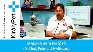 Macska nem fertőző