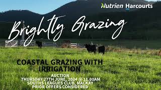 Brightly Grazing