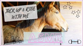 EQUINE ASMR | Muck out, tack up and ride with me | Diary Of A Dun