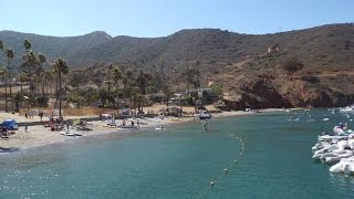 Catalina Two Harbors - Isthmus Cove Underwater