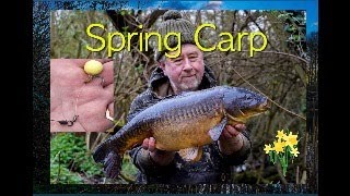 Spring Carp