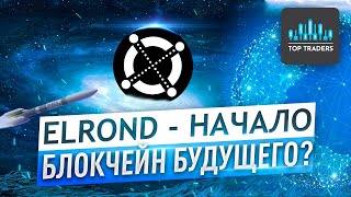 Elrond - блокчейн будущего? Обзор экосистемы