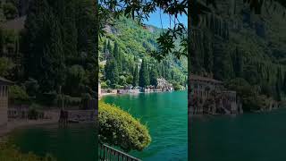 Beautiful river and Nature sound #shorts #nature #naturesound