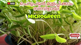 How to Sprout Green gram|ചെറുപയർ മുളപ്പിക്കാം എളുപ്പത്തിൽ🌱