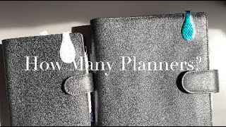 How Many Planners?