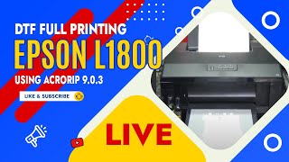 DTF Printing - ECO DTF Epson L1800 A3 size printing! (October 28, 2021)