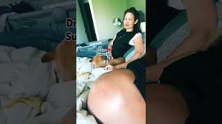 Twins move in mommas belly #shorts #viral #goviral #foryou #fypシ #shortsfeed #pregnancy