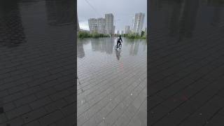 Почему не выходят видосы #electricscooter #электросамокаты