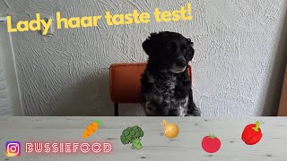 Lady haar eerste taste test! | Wat eet mijn hond?