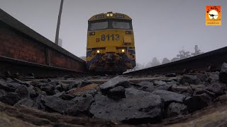 Freight trains in Australian country town