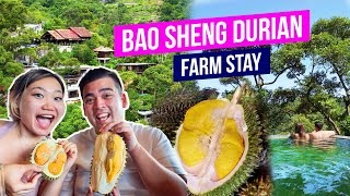 We stayed at a DURIAN FARM in Penang!