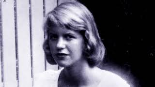 Sylvia Plath - "Caro dottore, mi sento tanto male." (Diari, 20/02/1956)