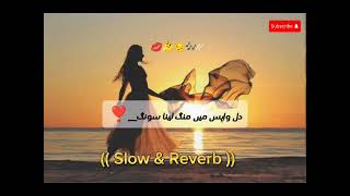 Dil Wapas Mein Mang lena || Slowed & Reverb || Saraiki song || #viral #views #slowedandreverb