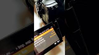 Sony A7RV  Focus Bracketing Integrato Mini Tutorial