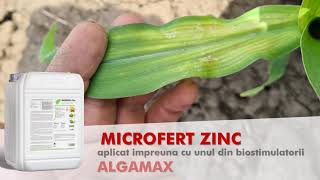 Microfert Zn + Algamax