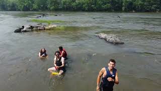 James River Leadership Expeditions 2023 - Swimming!