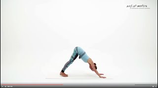 Dynamische Slings Inspiration: Dynamic Double Knee Bend