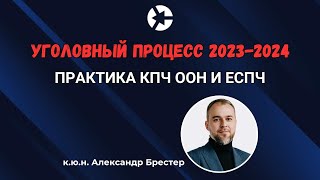 Практика КПЧ ООН и ЕСПЧ в 2024 в российском уголовном процессе/Полный эфир по ссылке в описании👇