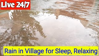 Rain in Village | Rain in Pakistan | Rain Sound for Sleeping 😴 💤 😌