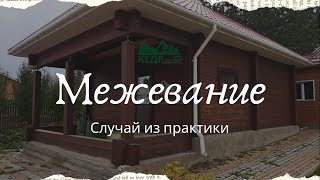 Межевание. случай из практики