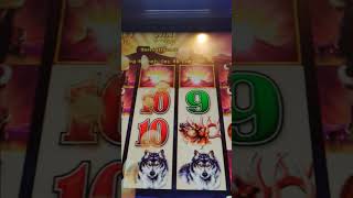 Unexpected Win#shortsfeed #slot #buffaloes #slotgames