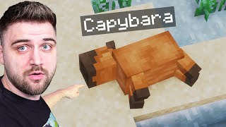 Minecraft MODAT cu zaSami Revine !